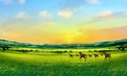 草原视频,大自然的绿色画卷